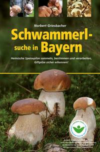 Schwammerlsuche in Bayern