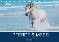 PFERDE & MEER (Tischkalender 2022 DIN A5 quer)