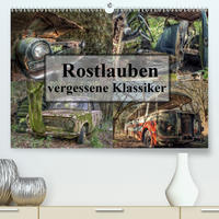 Rostlauben - vergessene Klassiker (Premium, hochwertiger DIN A2 Wandkalender 2020, Kunstdruck in Hochglanz)