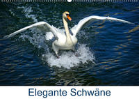 Elegante Schwäne (Wandkalender 2023 DIN A2 quer)