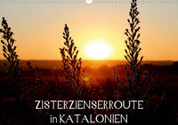 Zisterzienserroute in Katalonien (Wandkalender 2021 DIN A3 quer)