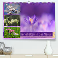 Innehalten in der Natur ... mit Weisheiten und Sprichworten der Indianer (Premium, hochwertiger DIN A2 Wandkalender 2022, Kunstdruck in Hochglanz)