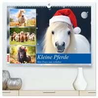 Kleine Pferde. Mini-Ponys zum verlieben (hochwertiger Premium Wandkalender 2024 DIN A2 quer), Kunstdruck in Hochglanz