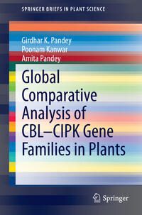 Global Comparative Analysis of CBL-CIPK Gene Families in Plants