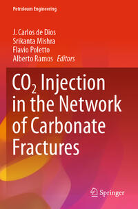 CO2 Injection in the Network of Carbonate Fractures