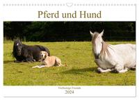 Pferd und Hund - Vierbeinige Freunde (Wandkalender 2024 DIN A3 quer), CALVENDO Monatskalender