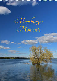 Moosburger Momente (Wandkalender 2023 DIN A2 hoch)