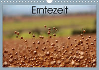 Erntezeit (Wandkalender 2020 DIN A4 quer)