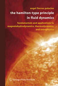 The Hamilton-Type Principle in Fluid Dynamics