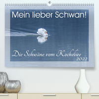 Mein lieber Schwan! Die Schwäne vom Kochelsee. (Premium, hochwertiger DIN A2 Wandkalender 2022, Kunstdruck in Hochglanz)