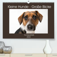 Kleine Hunde - Große Blicke (Premium, hochwertiger DIN A2 Wandkalender 2022, Kunstdruck in Hochglanz)