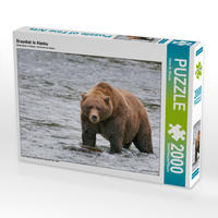 CALVENDO Puzzle Braunbär in Alaska 2000 Teile Lege-Größe 90 x 67 cm Foto-Puzzle Bild von Dieter-M. Wilczek