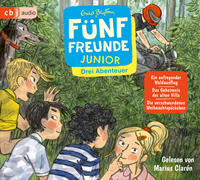 Fünf Freunde JUNIOR - Drei Abenteuer - Ein aufregender Waldausflug. Das Geheimnis der alten Villa. Die verschwundenen Weihnachtspäckchen