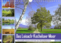 Das Loisach-Kochelsee-Moor Traumhafte Moosrundwege bei Benediktbeuern (Wandkalender 2020 DIN A4 quer)