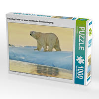 CALVENDO Puzzle Prächtiger Eisbär vor einem leuchtenden Sonnenuntergang. 1000 Teile Lege-Größe 64 x 48 cm Foto-Puzzle Bild von CALVENDO