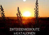 Zisterzienserroute in Katalonien (Wandkalender 2021 DIN A4 quer)