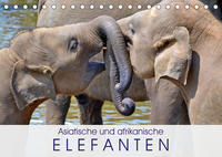 Asiatische und afrikanische Elefanten (Tischkalender 2023 DIN A5 quer)