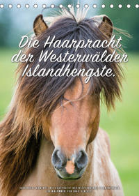 Die Haarpracht der Islandhengste. (Tischkalender 2022 DIN A5 hoch)