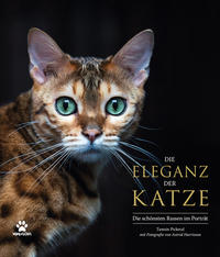 Die Eleganz der Katze