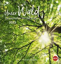 Unser Wald Postkartenkalender 2023. Beeindruckende Detailfotos in einem Monats-Tischkalender zum Aufstellen und Aufhängen. Kleiner Kalender mit hochwertigen Aufnahmen.