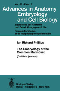 The Embryology of the Common Marmoset