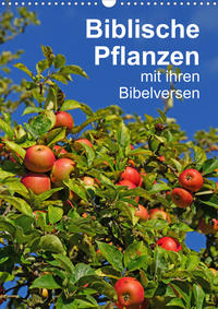 Biblische Pflanzen mit ihren Bibelversen (Wandkalender 2023 DIN A3 hoch)