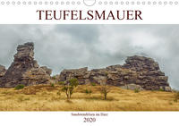 Teufelsmauer - Sandsteinfelsen im Harz (Wandkalender 2020 DIN A4 quer)