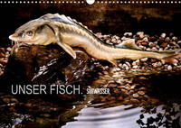 UNSER FISCH. SÜßWASSER. (Wandkalender 2023 DIN A3 quer)