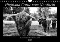 Highland Cattle vom Nordlicht - Faszination Hochland Rind (Wandkalender 2023 DIN A4 quer)