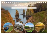 Wildes Shetland, die Wikinger-Inseln am Rande der Welt. (Tischkalender 2024 DIN A5 quer), CALVENDO Monatskalender