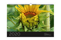 Nature Art Kalender 2020