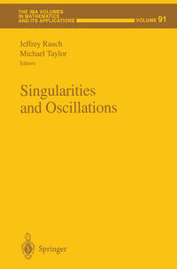 Singularities and Oscillations