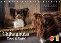 Chihuahuas - Cool and Cute (Tischkalender 2022 DIN A5 quer)