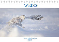 WEISS (Tischkalender 2022 DIN A5 quer)