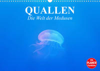 Quallen. Die Welt der Medusen (Wandkalender 2023 DIN A3 quer)