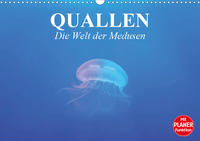 Quallen. Die Welt der Medusen (Wandkalender 2021 DIN A3 quer)