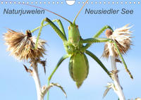 Naturjuwelen - Neusiedler See (Wandkalender 2022 DIN A4 quer)