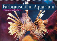 Farbrausch im Aquarium: Salzwasserfische (Wandkalender 2022 DIN A3 quer)