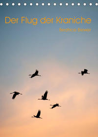 Der Flug der Kraniche (Tischkalender 2023 DIN A5 hoch)