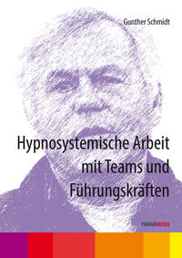 Hypnosystemische Arbeit mit Teams und Führungskräften