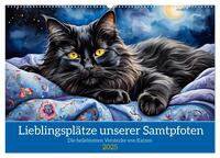 Lieblingsplätze unserer Samtpfoten (Wandkalender 2025 DIN A2 quer), CALVENDO Monatskalender