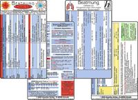 COVID-19 Beatmungs-Karten Set 2020 (2 Karten Set) - Respirator-Einstellungen mit ARDS / respiratorischer Insuffizienz - BGA Zielwerte, PCR-Diagnostik, Oxigenierungs-Störungen, ARDS-Network-Tabelle / SARS-CoV-2