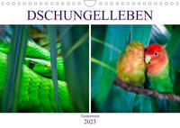 Dschungelleben - Tierportraits (Wandkalender 2023 DIN A4 quer)