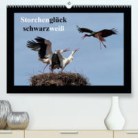 Storchenglück schwarzweiß (Premium, hochwertiger DIN A2 Wandkalender 2021, Kunstdruck in Hochglanz)