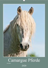 Camargue Pferde - weiße Mähnen (Wandkalender 2020 DIN A2 hoch)