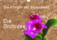 Die Königin der Blumenwelt, die Orchidee (Wandkalender 2020 DIN A4 quer)