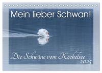 Mein lieber Schwan! Die Schwäne vom Kochelsee. (Tischkalender 2025 DIN A5 quer), CALVENDO Monatskalender