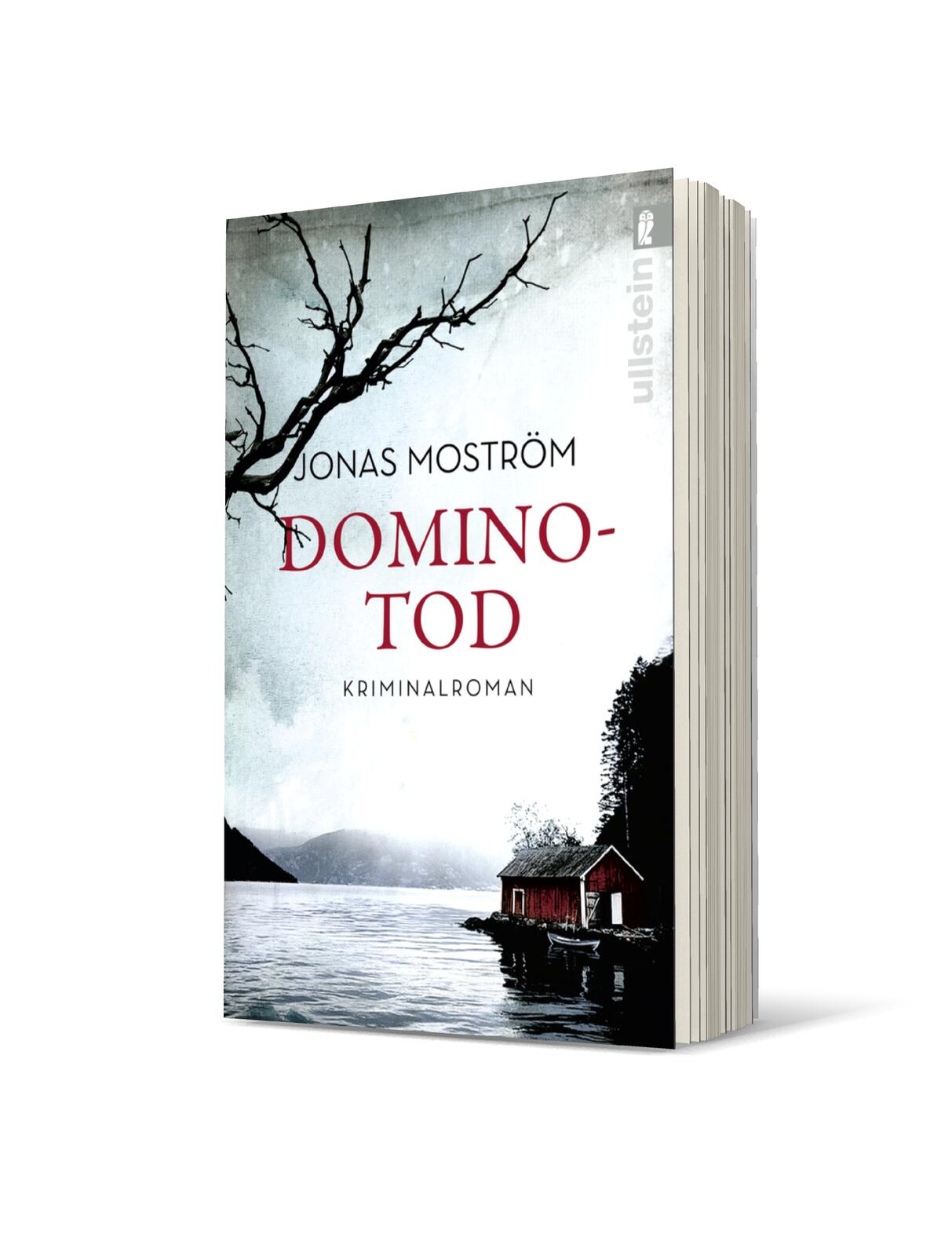 Dominotod (Ein Nathalie-Svensson-Krimi 2)