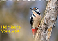 Heimische Vogelwelt (Wandkalender 2023 DIN A2 quer)