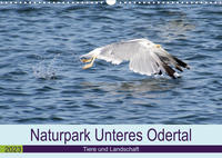 Naturpark Unteres Odertal (Wandkalender 2023 DIN A3 quer)